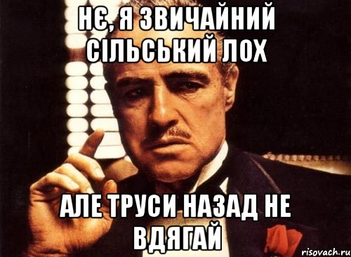 нє, я звичайний сільський лох але труси назад не вдягай, Мем крестный отец