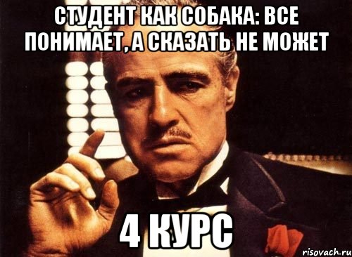 студент как собака: все понимает, а сказать не может 4 курс, Мем крестный отец