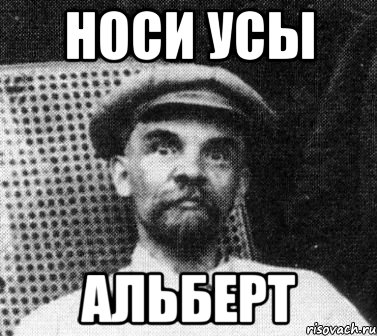 Носи усы. Носи усы не сы. Albert Мем. Спокойной носи усы. Носите женщины усы носите.