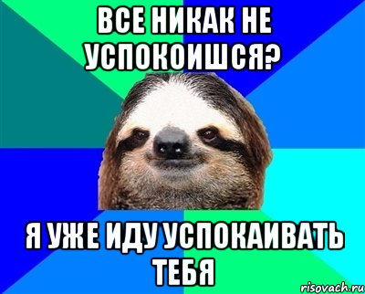 Все никак не успокоишся? Я уже иду успокаивать тебя, Мем Ленивец