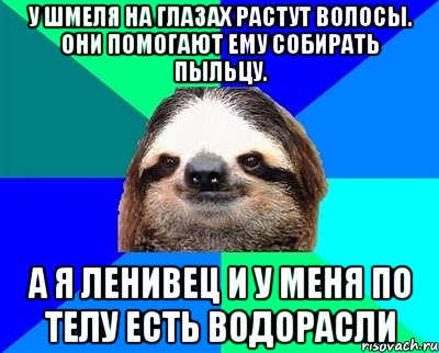 У шмеля на глазах растут волосы. Они помогают ему собирать пыльцу. а я ленивец и у меня по телу есть водорасли