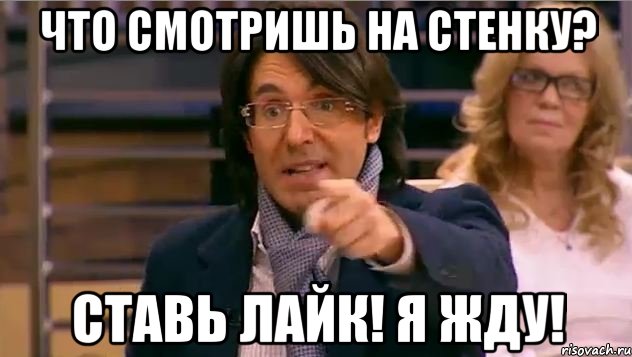 Что смотришь на стенку? Ставь лайк! Я жду!