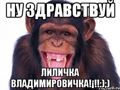 Ну здравствуй Лиличка Владимировичка!¡!!:);), Мем мавпа