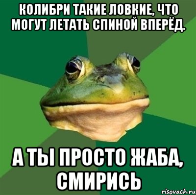 Колибри такие ловкие, что могут летать спиной вперёд. А ты просто жаба, смирись, Мем  Мерзкая жаба