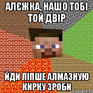 Алєжка, нашо тобі той двір йди ліпше алмазную кирку зроби, Мем Миникрафтер