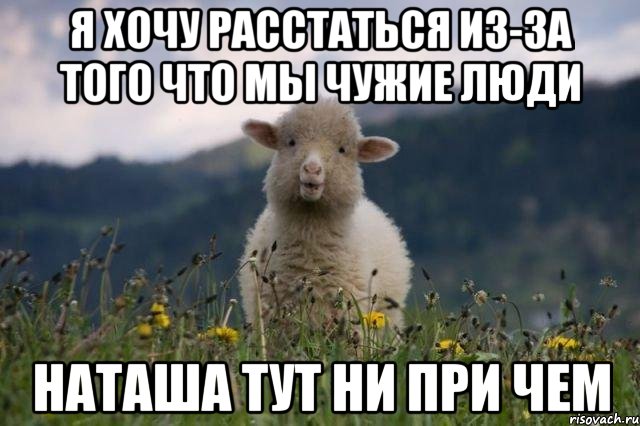 Не приходим. Наташка овца. Овечка Наташа. Наташа тут. Мем наивная овца.