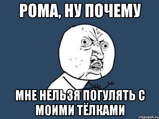 Рома, ну почему мне нельзя погулять с моими тёлками, Мем Ну почему