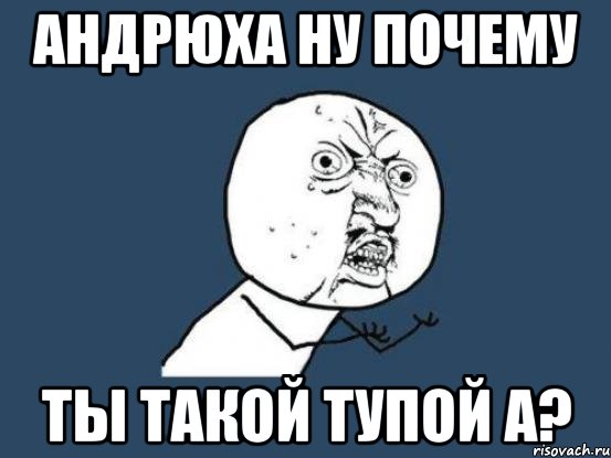 Андрюха ну почему ты такой тупой а?, Мем Ну почему