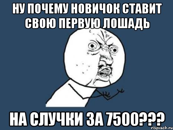 Ну почему новичок ставит свою первую лошадь на случки за 7500???, Мем Ну почему