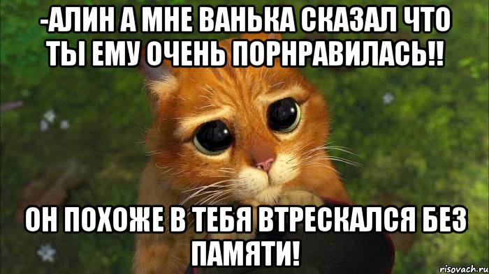 -алин а мне ванька сказал что ты ему очень порнравилась!! он похоже в тебя втрескался без памяти!, Мем кот из шрека