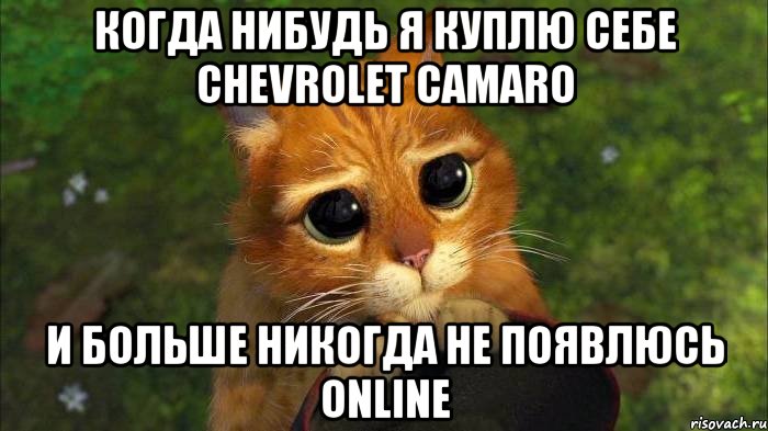 КОГДА НИБУДЬ Я КУПЛЮ СЕБЕ CHEVROLET CAMARO И БОЛЬШЕ НИКОГДА НЕ ПОЯВЛЮСЬ ONLINE, Мем кот из шрека