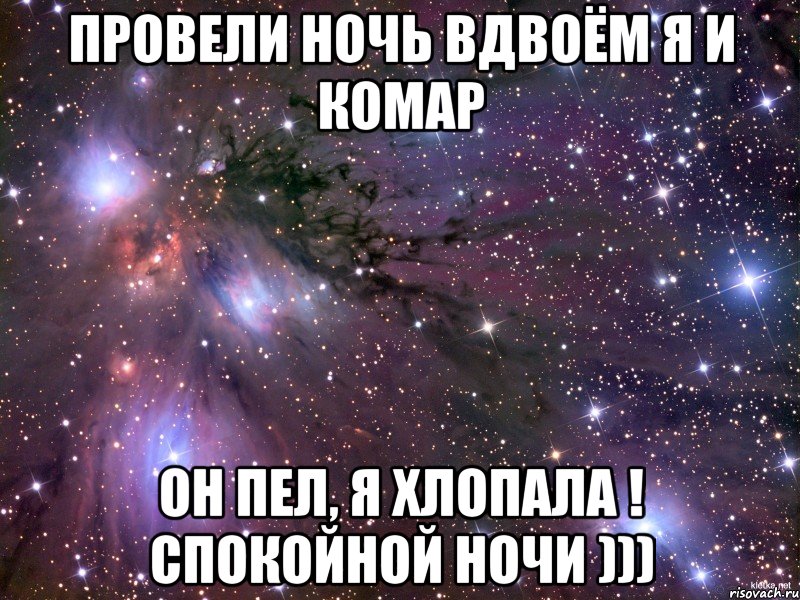 Проведения ночи. Провели ночь вдвоем я и комар он пел я хлопала. Провести ночь. Статус провели ночь вдвоём с комаром. Хорошо провести ночь.