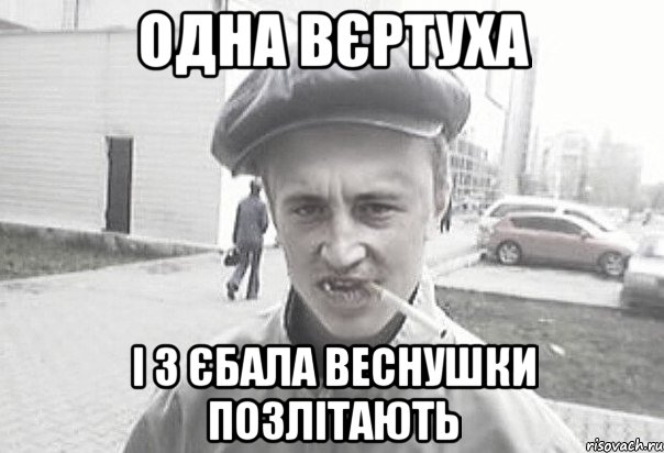 Одна вєртуха і з єбала веснушки позлітають, Мем Пацанська философия