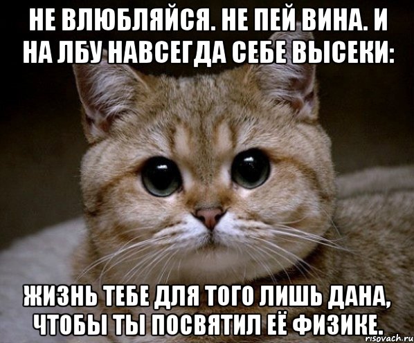 Песня не люби милая пожалуйста влюбляйся. Не влюбляйся не пей вина. Не влюбляйся не пей вина и на лбу себе высеки жизнь тебе для того дана. Не пей вина. Жизнь для того дана чтобы ты посвятил ее физике.