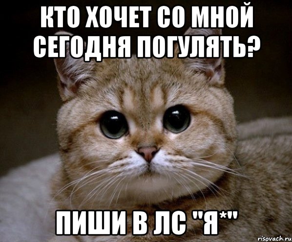 Пишите в личку. Кто хочет со мной погулять. Кто хочет прогуляться. Кто хочет прогуляться сегодня. Хочу погулять картинки.