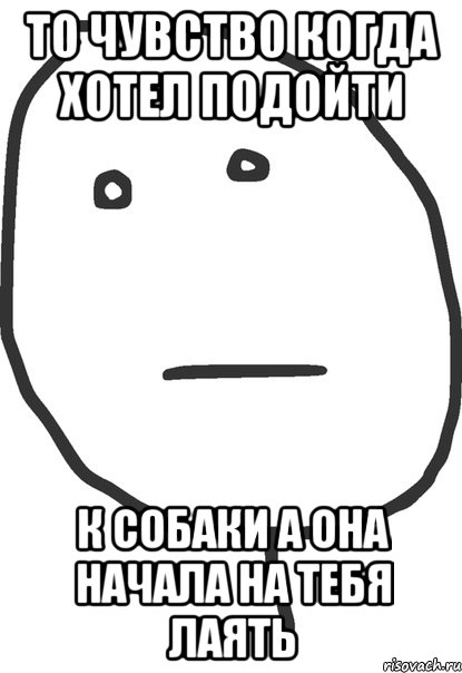 То чувство когда хотел подойти К собаки а она начала на тебя лаять, Мем покер фейс