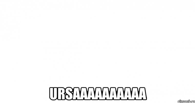  URSAAAAAAAAAA