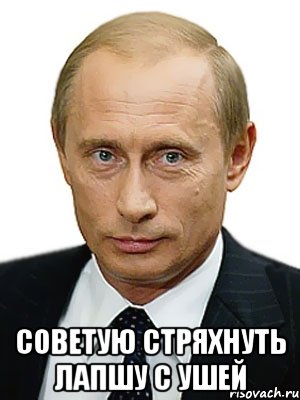  советую стряхнуть лапшу с ушей, Мем Путин