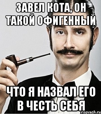 Завел кота, Он такой офигенный что я назвал его в честь себя, Мем Сэр Надменность