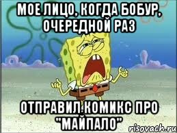 Мое лицо, когда Бобур, очередной раз Отправил комикс про "Майпало", Мем Спанч Боб плачет