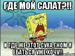 ГДЕ МОЙ САЛАТ?!! И где же этот сука,гном я ебаться уже хочу!!, Мем Спанч Боб плачет