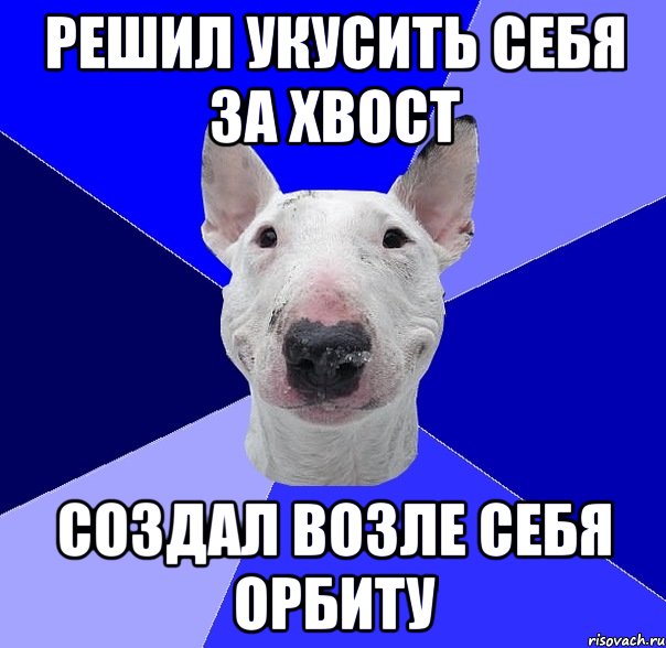 Решил укусить себя за хвост Создал возле себя орбиту, Мем типичный буль