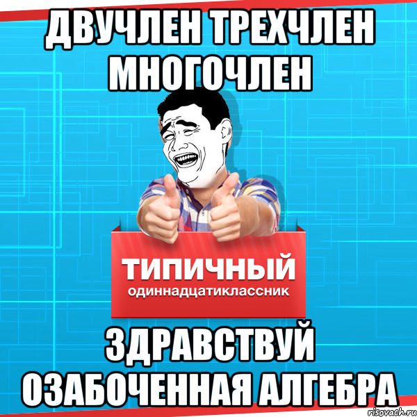 Двучлен. Многочлен мемы. Квадратный трехчлен прикол. Многочлен у человека. Анекдот про многочлен.