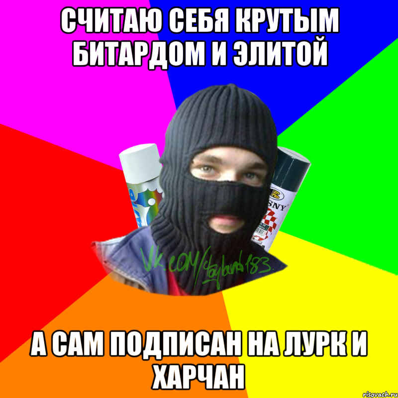 Считаю себя крутым битардом и элитой а сам подписан на лурк и харчан, Мем ТИПИЧНЫЙ РАЙТЕР