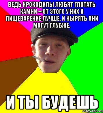 Ведь Крокодилы любят глотать камни – от этого у них и пищеварение лучше, и нырять они могут глубже. и ты будешь, Мем умный гопник