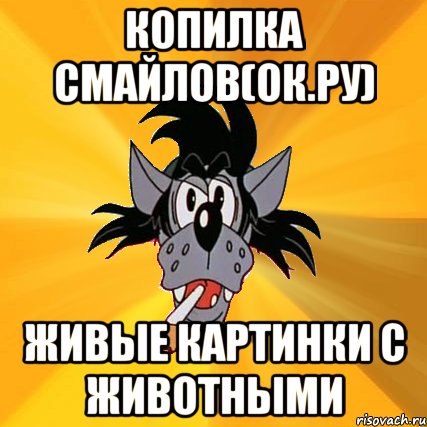 Копилка мем. Открытки из одноклассников Мем волк. Спасибо Мем волк. Мем волк с днем рождения.