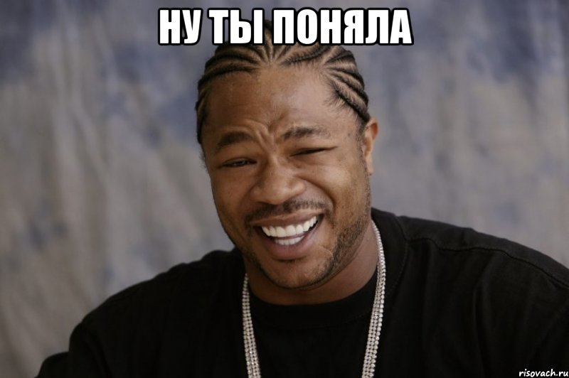 Ну ты поняла , Мем Xzibit