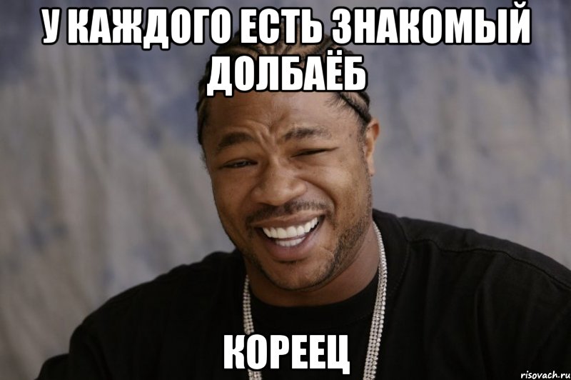 У каждого есть знакомый долбаёб кореец, Мем Xzibit