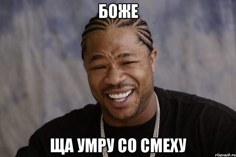 Боже ща умру со смеху, Мем Xzibit