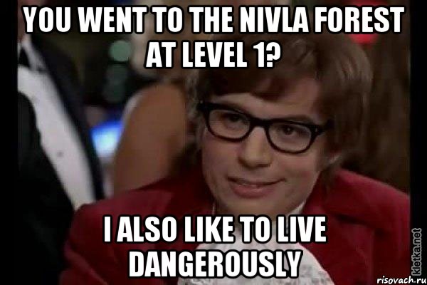 you went to the nivla forest at level 1? i also like to live dangerously, Мем Остин Пауэрс (я тоже люблю рисковать)