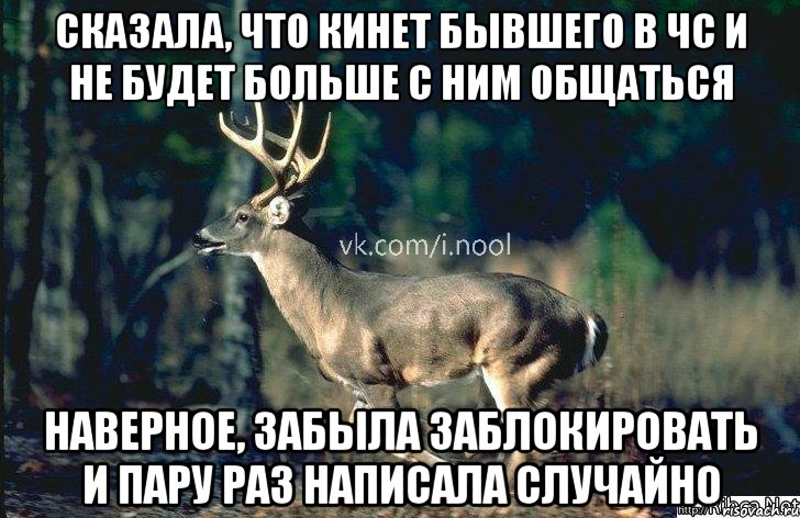 Видимо забыла. Написать что не хочу с ним общаться. Я С ним не общаюсь. Не общайся с ним картинки. Приятно пообщались Мем.