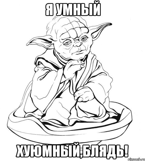 Я умный Хуюмный,блядь!, Мем Мастер Йода