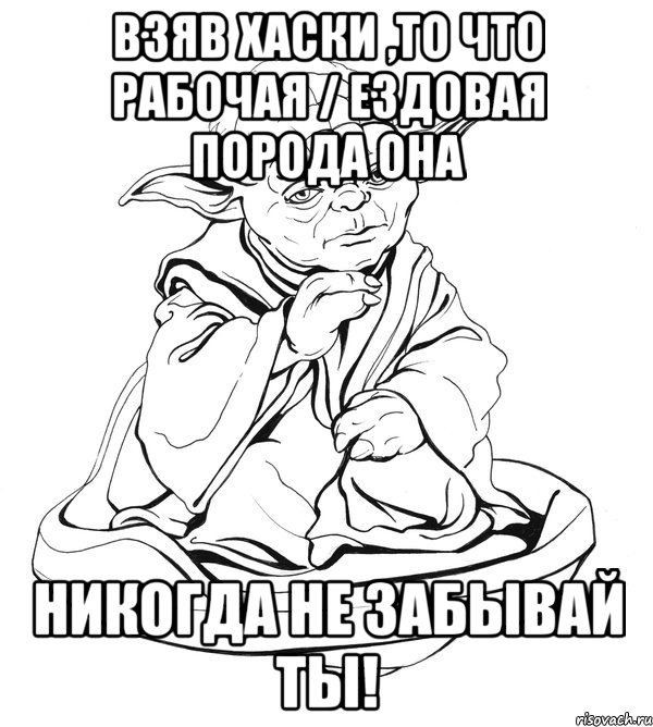 Взяв хаски ,то что рабочая / ездовая порода она Никогда не забывай ты!, Мем Мастер Йода