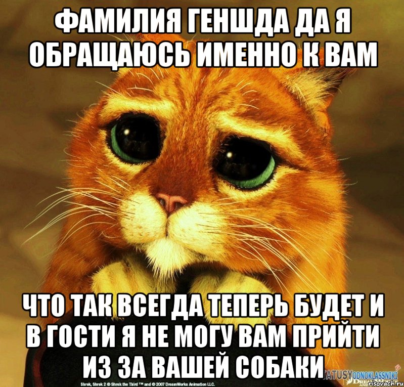 фамилия Геншда да я обращаюсь именно к вам что так всегда теперь будет и в гости я не могу вам прийти из за вашей собаки, Мем Котик из Шрека