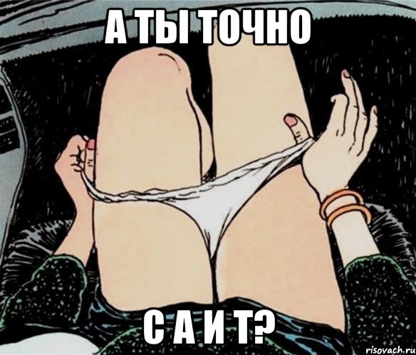 А ТЫ ТОЧНО С А И Т?, Мем А ты точно