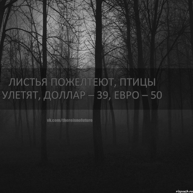 Листья пожелтеют, Птицы улетят, Доллар – 39, Евро – 50, Комикс безысходность