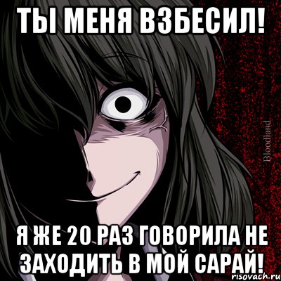 Не раз говорила. Ты меня взбесил. Я же говорила не заходить в мой сарай. Мем ты меня взбесил. Сарай Мем ЭЛЕКТРОРАЙ Мем.