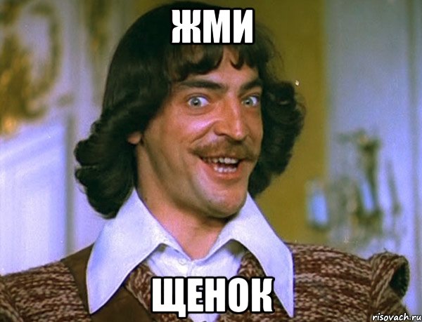 ЖМИ ЩЕНОК