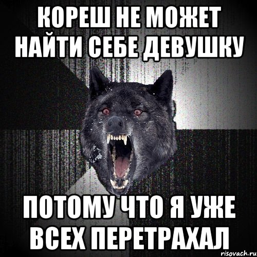 КОРЕШ НЕ МОЖЕТ НАЙТИ СЕБЕ ДЕВУШКУ ПОТОМУ ЧТО Я УЖЕ ВСЕХ ПЕРЕТРАХАЛ, Мем  Злобный волк