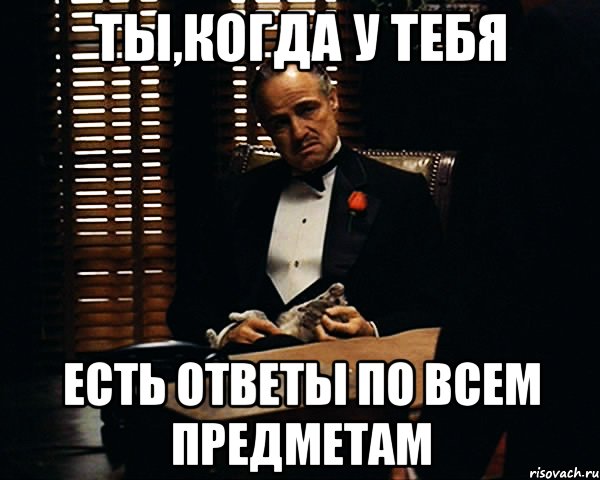 Суть ответа. У тебя есть ответы?. Есть ответ. Мем ответ есть. Дон Корлеоне майские праздники.