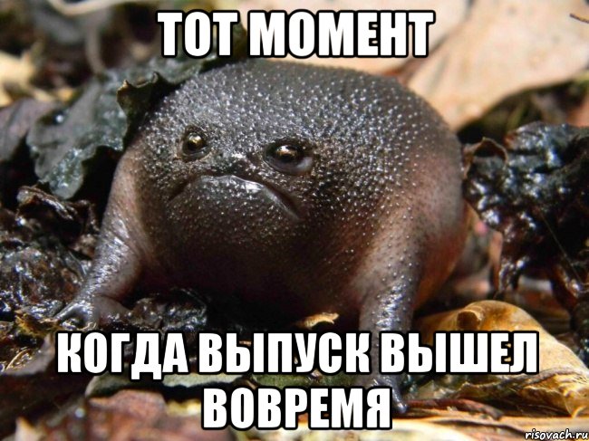 Песня о нем когда вышла. Мемы выпускай. Выпустите Мем. Мемные песенки. Эм Мем.