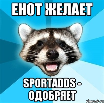 Енот желает SportAdds - одобряет