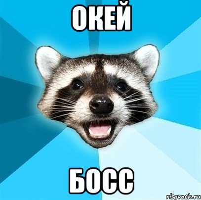 окей босс