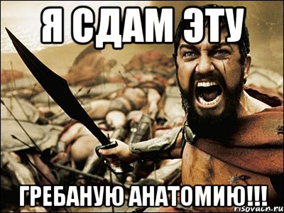 When сдай. Мемы про анатомию. Мемы по анатомии. Шутки про анатомию. Анатомия приколы.