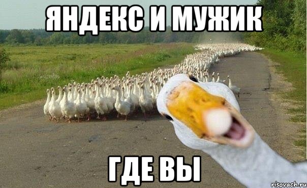 Яндекс и мужик Где вы