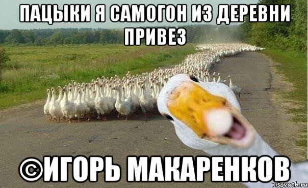 Пацыки я самогон из деревни привез ©Игорь Макаренков, Мем гуси